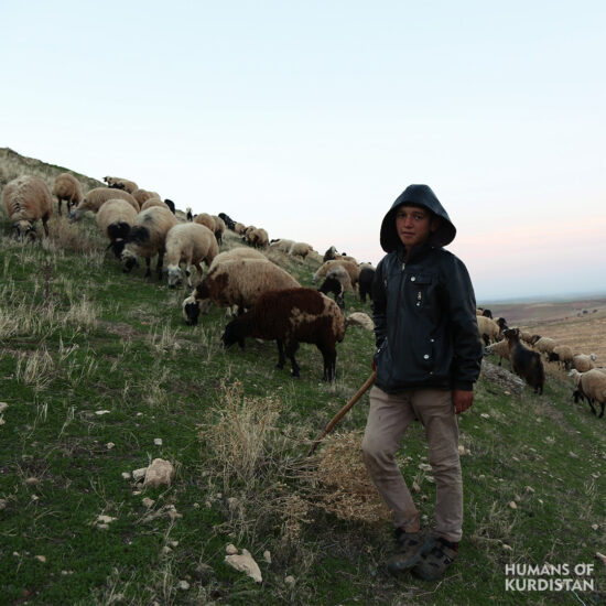 Humans of Kurdistan - North 09